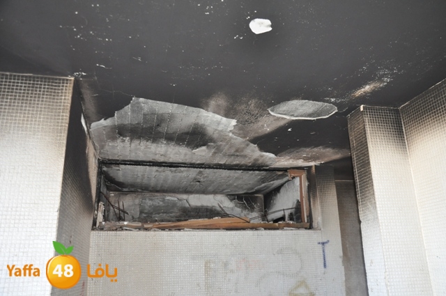 fireshekonatelarab (25).JPG